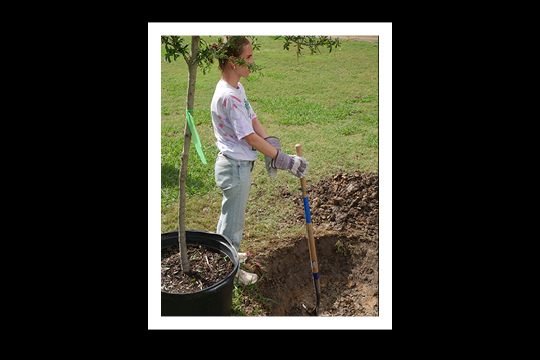 Earthweek