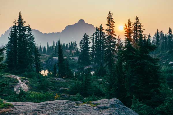 scenic view of mountains and forest