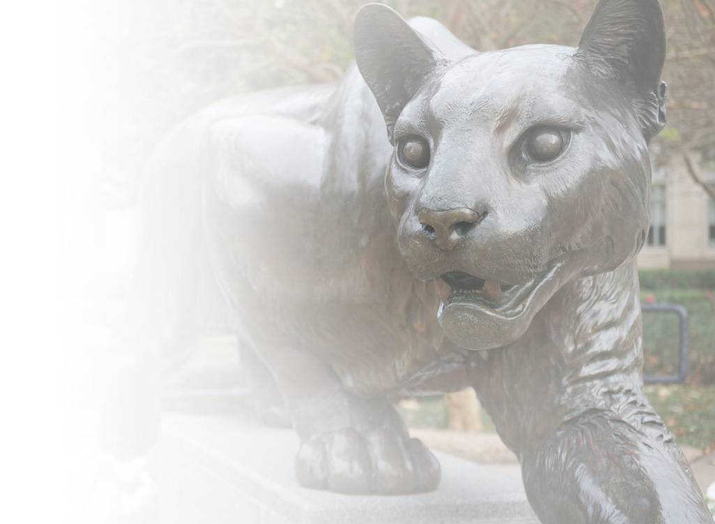Cougar Background