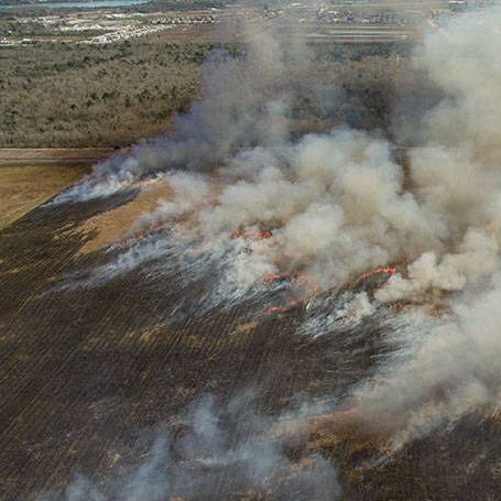 February 27, 2020 prescribed burn of UHCC Aumann Prairie