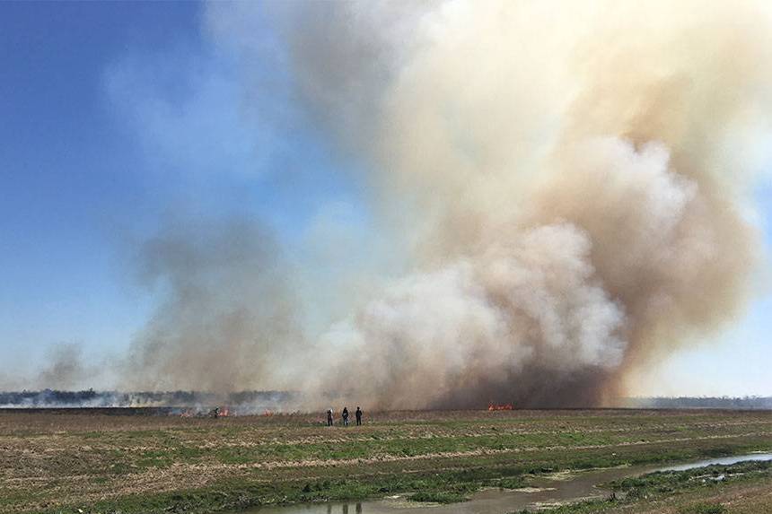 Burning Grasslands of Univrsity of Houston Coastal center, carries out periodically to manage invasive species.