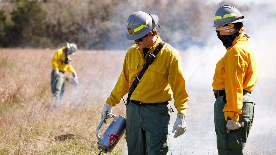 La Marque Fire Department crew igniting Spring 2020 prescribed burn.
