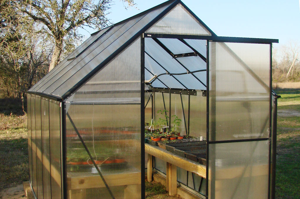 The completed greenhouse with plants.