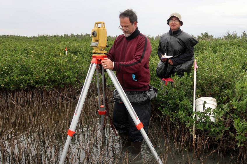 Dr. Steven Pennings studying the spread of mangroves on the Texas Coast.