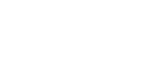 University of Houston Graduate School