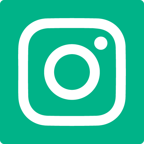 /honors/Programs-Minors/co-curricular-programs/data-and-community-health/honors-in-community-health/responsive-resourcing/instagram.png