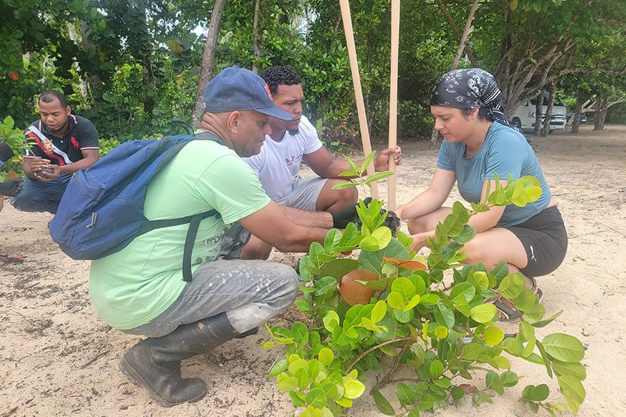 students and locals planting a tree in the DR