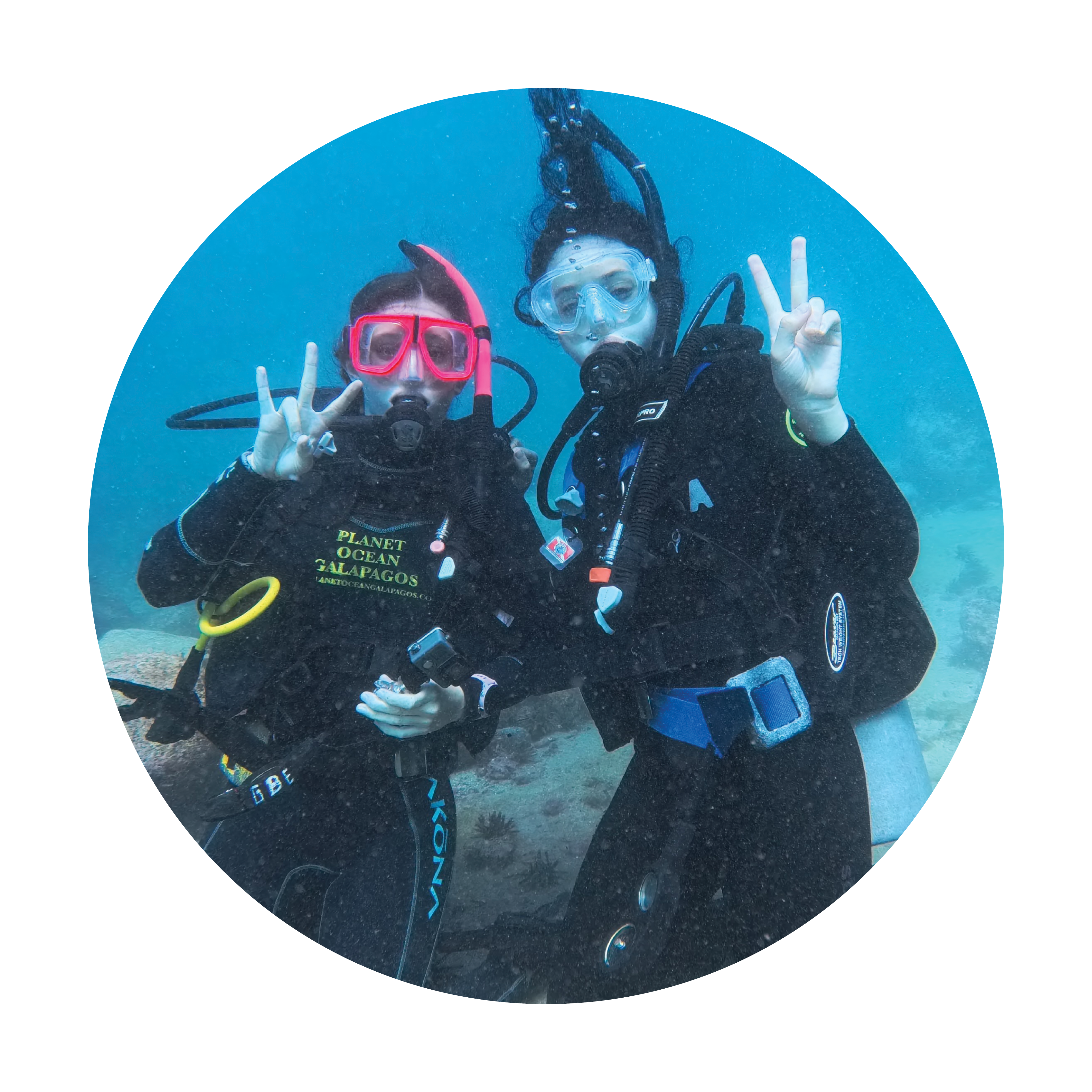 students scuba diving