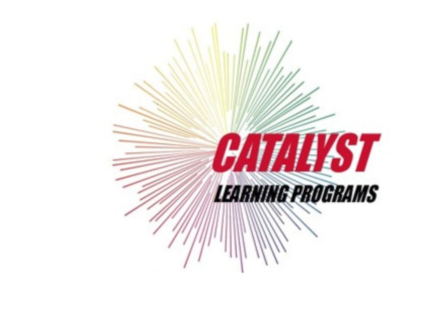 /human-resources/talent-development/catalyst-pic.jpg