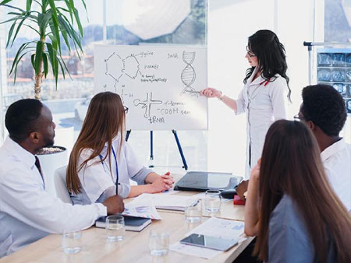 Business meeting with person pointing to white board