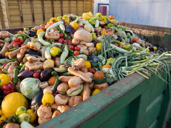 food waste food waste