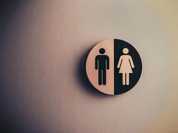 gender equality gender equality