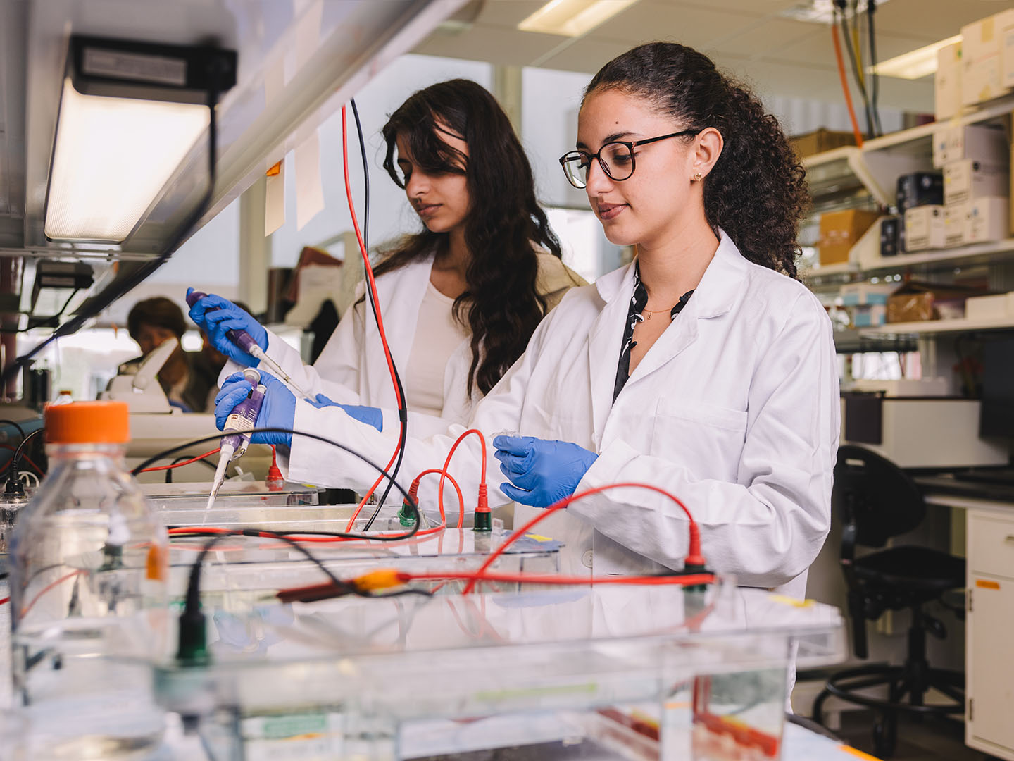 student researchers in the lab