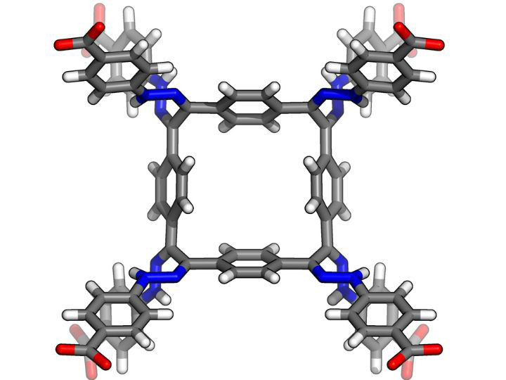 Molecular Structure of the Crystals