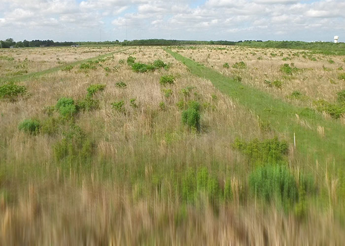 UH Coastal Center: Coastal Prairie Conservation and Education