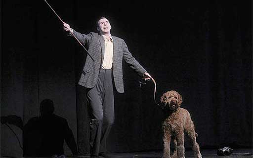 Bronze Cougar from E Cullen Building